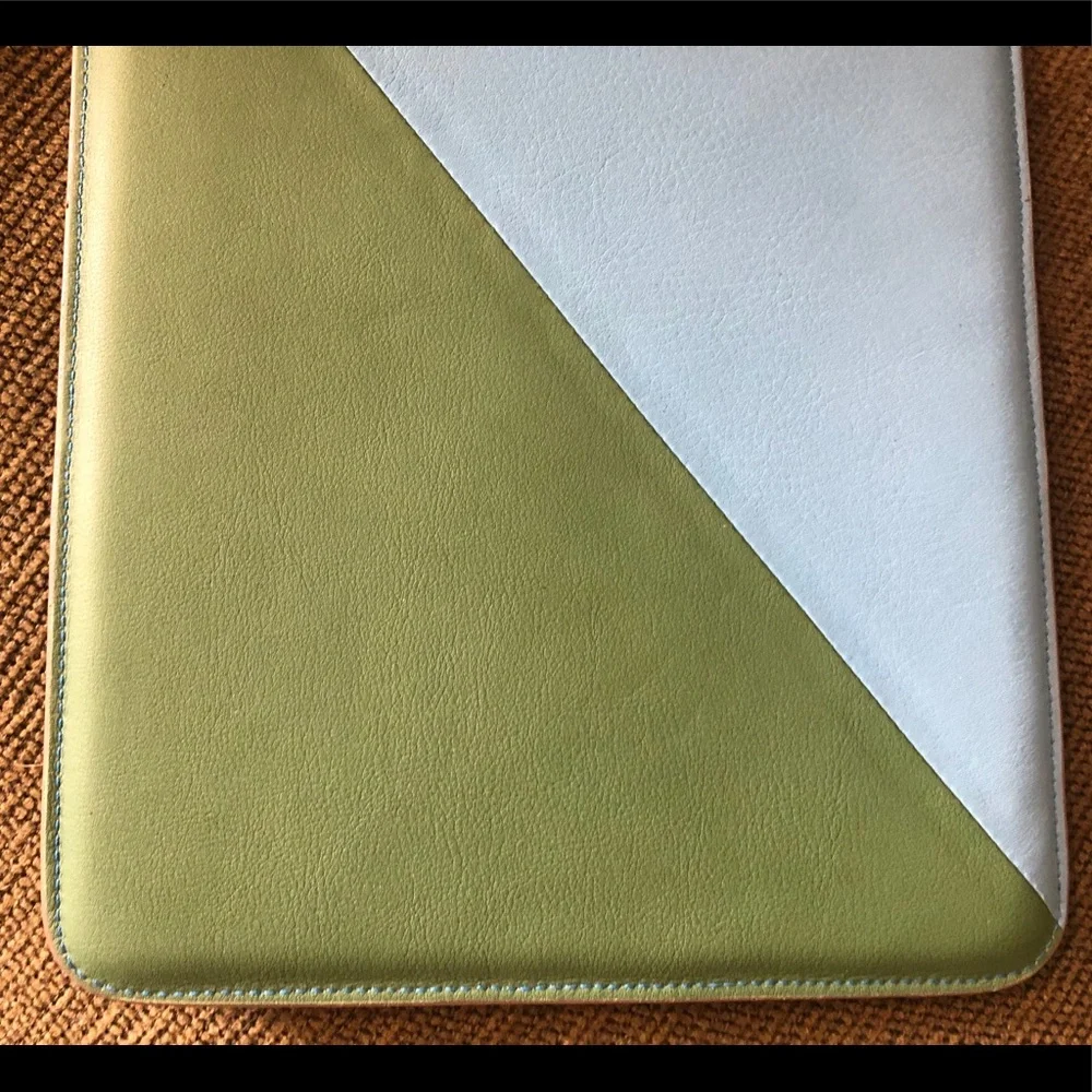 Auth Proenza Schouler Blue Green Leather Case EUC